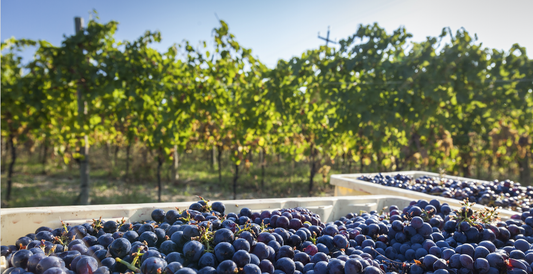 Au fait, comment on fait du rosé ?