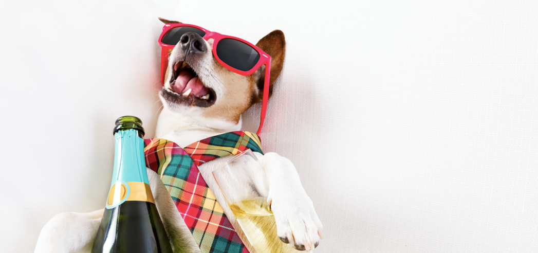 Kit pour éviter la gueule de bois