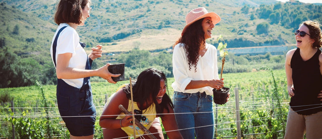 Les coups de cœur de l'équipe