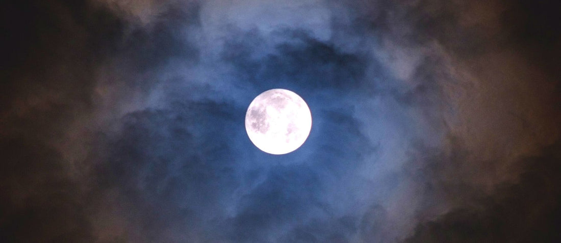 Pourquoi les vendanges ont souvent lieu la nuit ?
