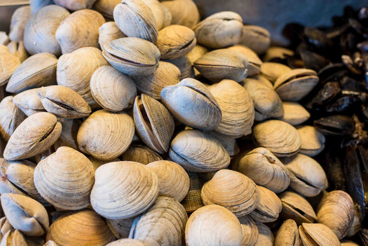 Calendrier des fruits de mer