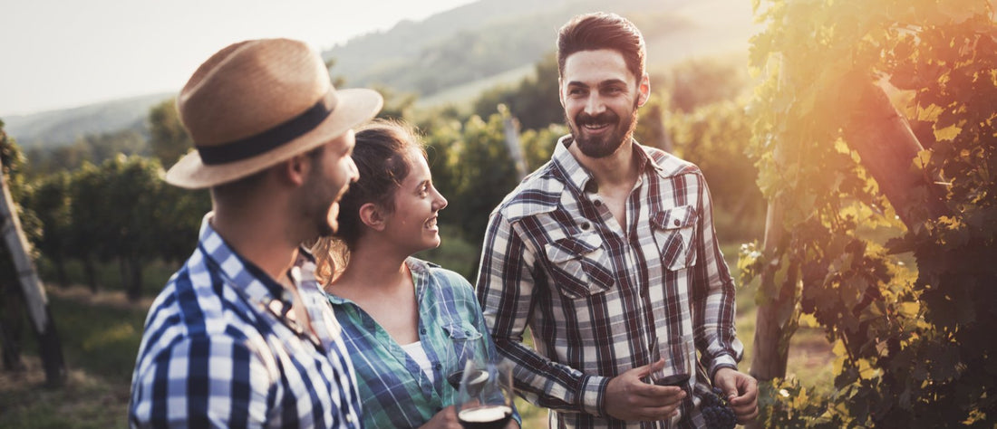 Bien acheter son vin au domaine