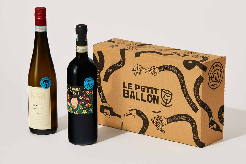<p>Perceber os vinhos italianos em 3 meses</p>