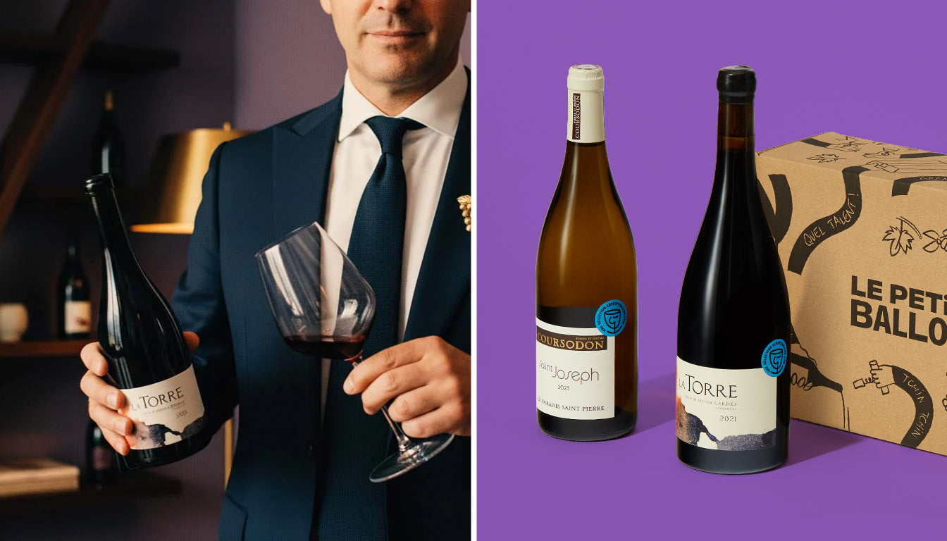 <p>Provar como um especialista em 3 meses</p>