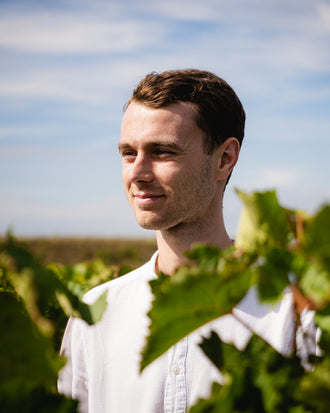 Sequentis - Branco - Vinho de França - Branco - 2024