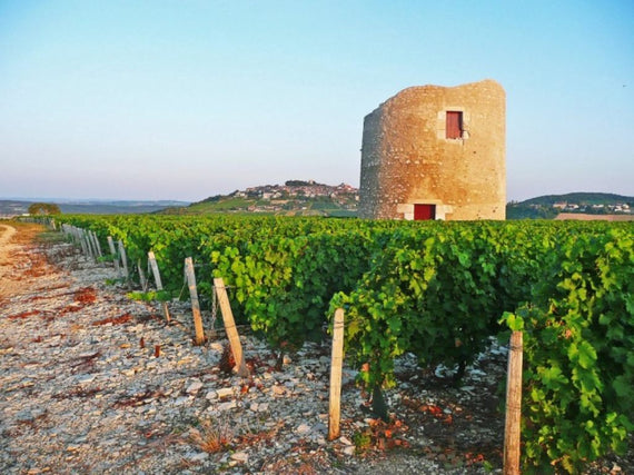 Anthony e David Girard