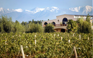 Bodega Piedra Negra