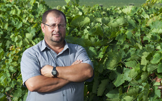 Adegas e Vinhas Casa de la Ermita