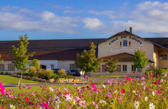 Cave de Lugny