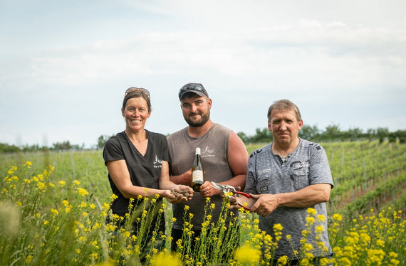 Adega do Velho Armand