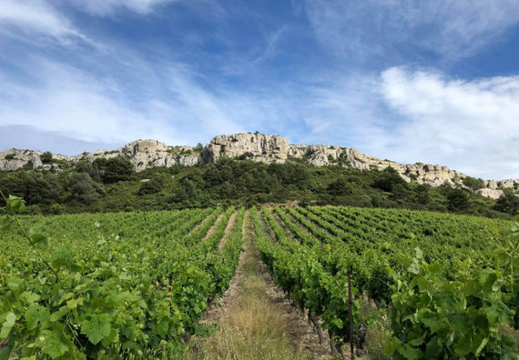 Castelo de Figuières