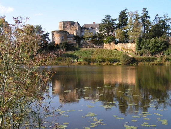 Castelo de Passavant