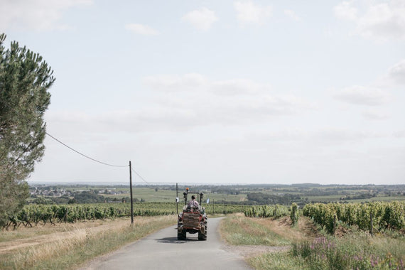 Castelo de Plaisance