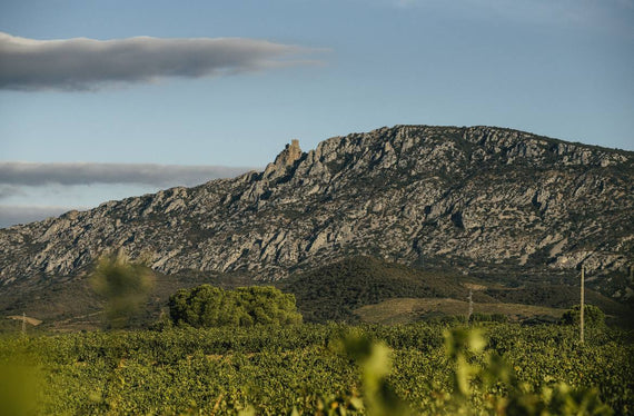 Château des Jaumes