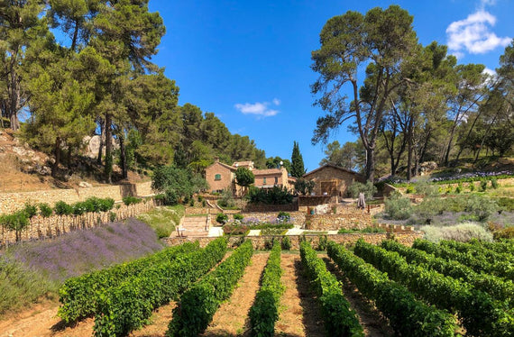 Château Gilbert & Gaillard