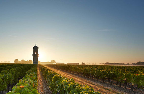 Château Haut-Batailley