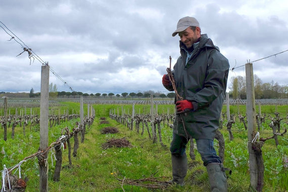 Château La Bernède Grand Poujeaux