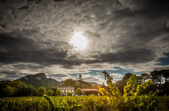 Château La Dournie