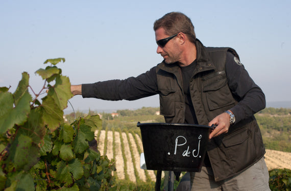 Château Pech de Jammes