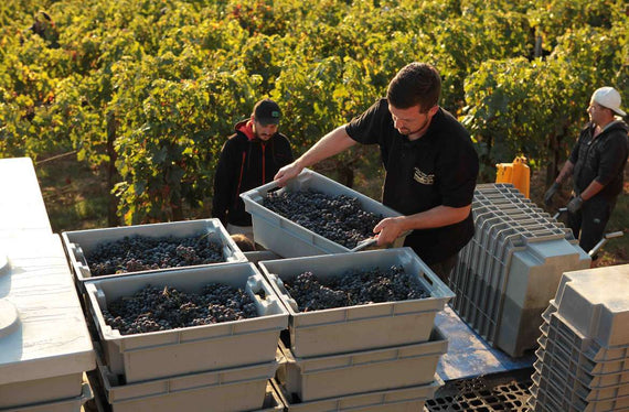 Château Tour Bayard