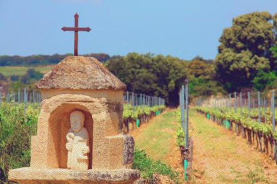 Clos de l'Oratoire (Ródano)