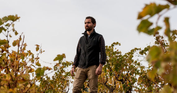 Clos des Vins d'amour