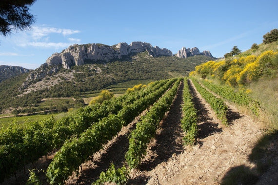 Domaine de Fenouillet