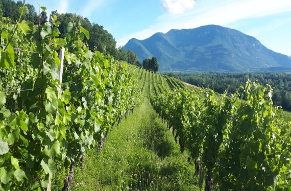 Domaine de La Ferme de Jeanne