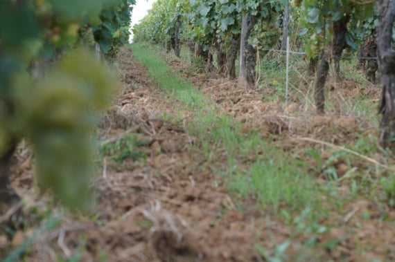 Domaine de la Verpaille