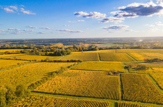 Domaine des Aubuisères