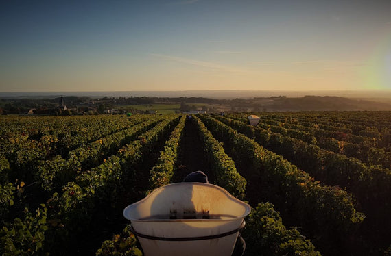 Domaine des Sardelles