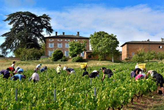 Domaine du Mont Verrier