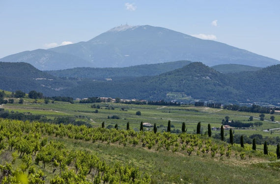 Domaine du Pastre