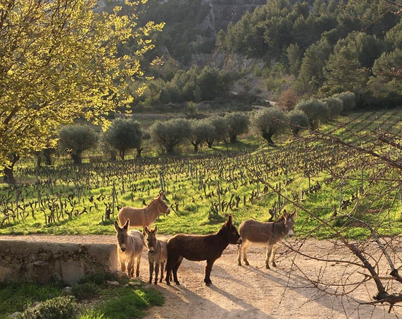 Domínio do Puy de Lôme