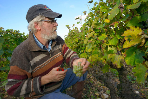 Domaine François et Julien Pinon