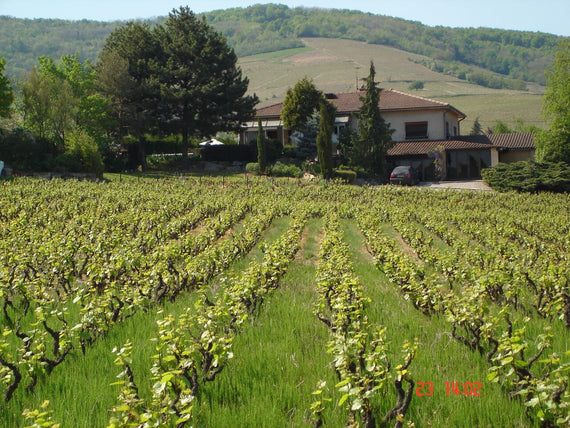 Domaine Joubert