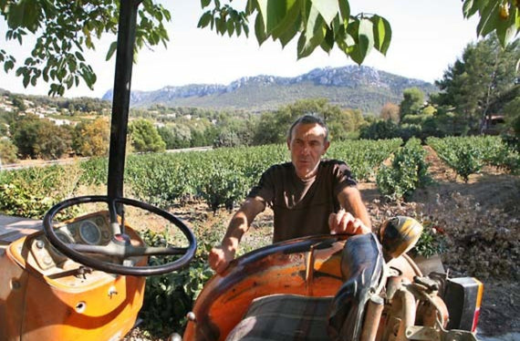 Domaine Lafran-Veyrolles