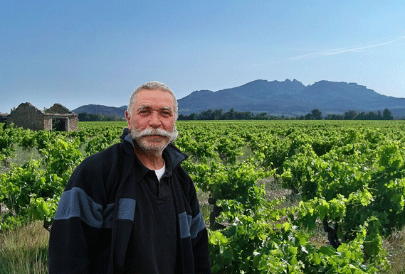 Domaine O Sangue das Pedras