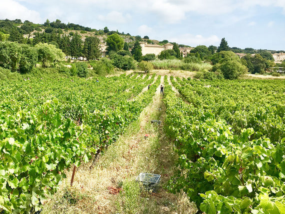 Domínio Plano do Homem