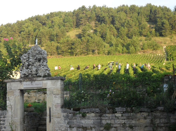 Domaine Prudhon
