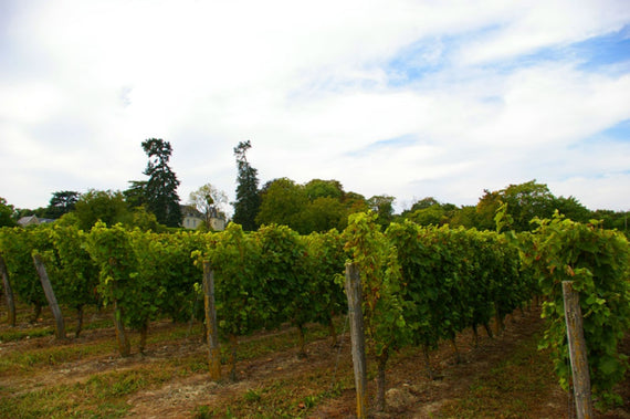Domaine Saint Landor