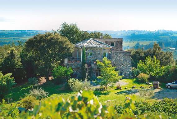 Domaine Vecchio