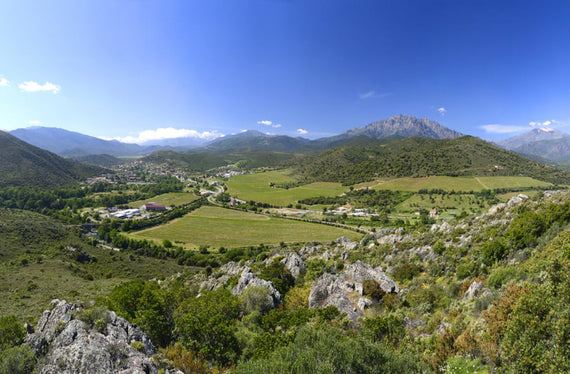 Domaine Vico