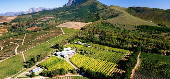 Quinta de Vinhos Marianne