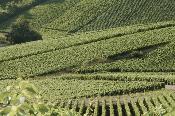 Marquês de Pomereuil