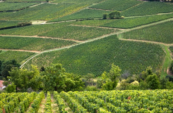 Parcelas & Companhia