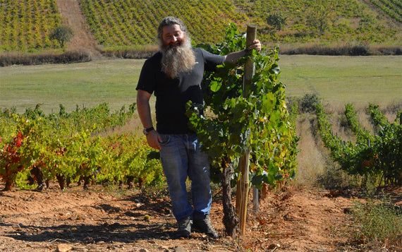 Raúl Pérez Bodegas e Vinhedos