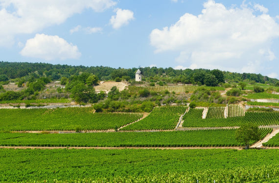 Royé Labaume