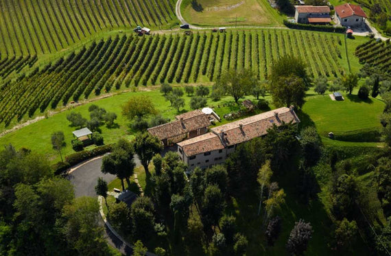 Vigna Di Sarah