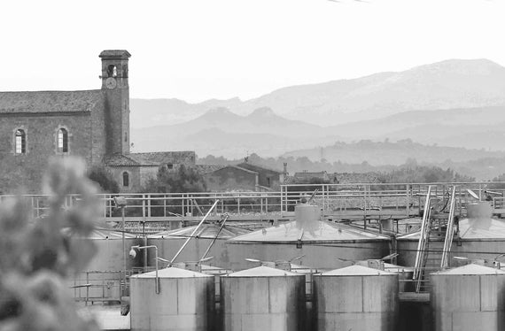 Vinicultores de Saint Maurice